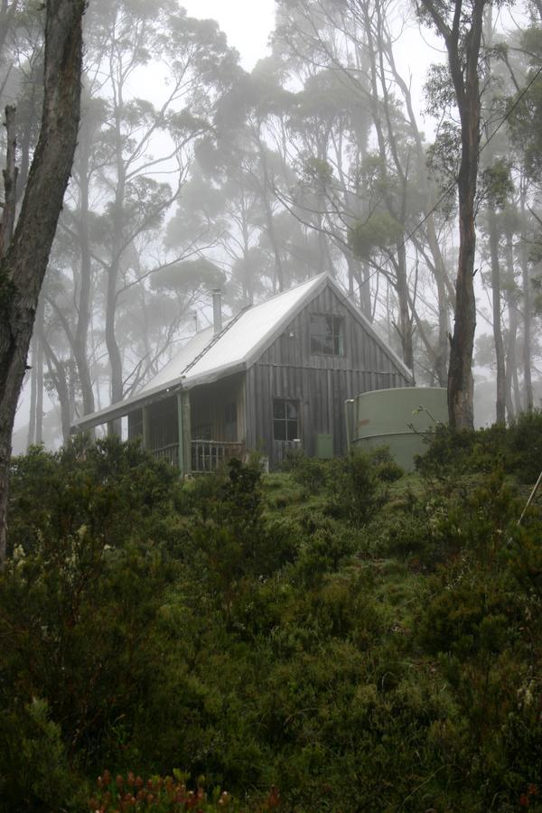 Wombat Cabin Villa Moina Exterior photo